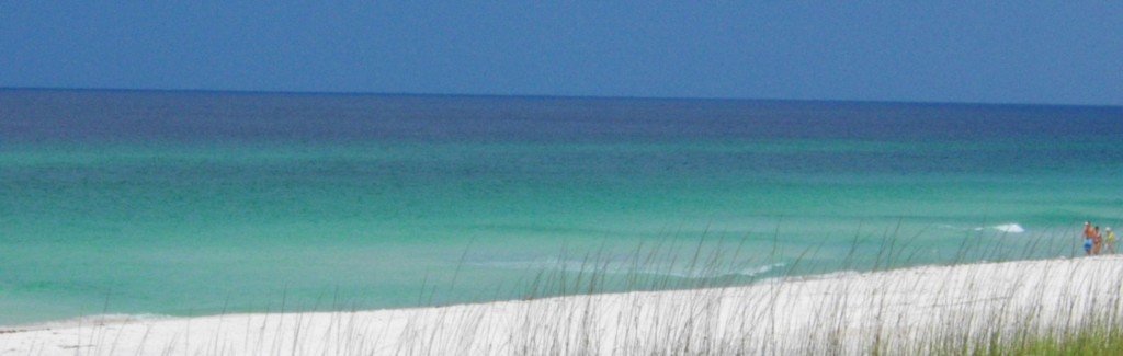 View of the ocean from the beach