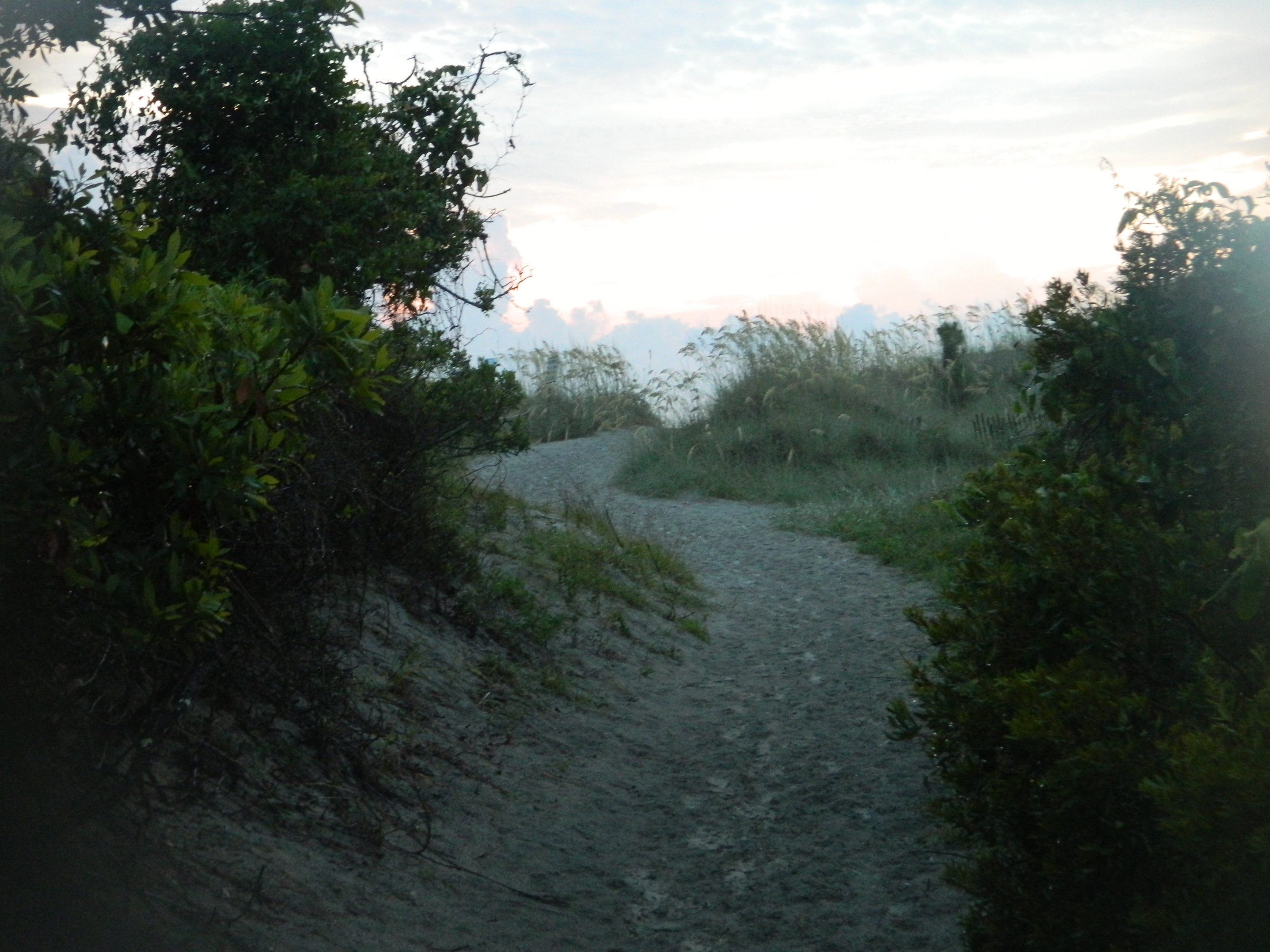 Hunting Island Sand Trail