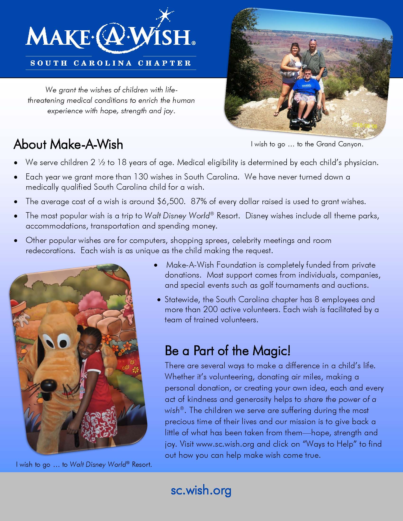 Make a wish flyer