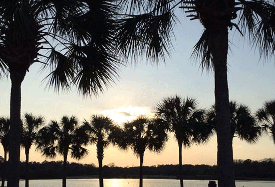 trees beside the lake at James Island Campground