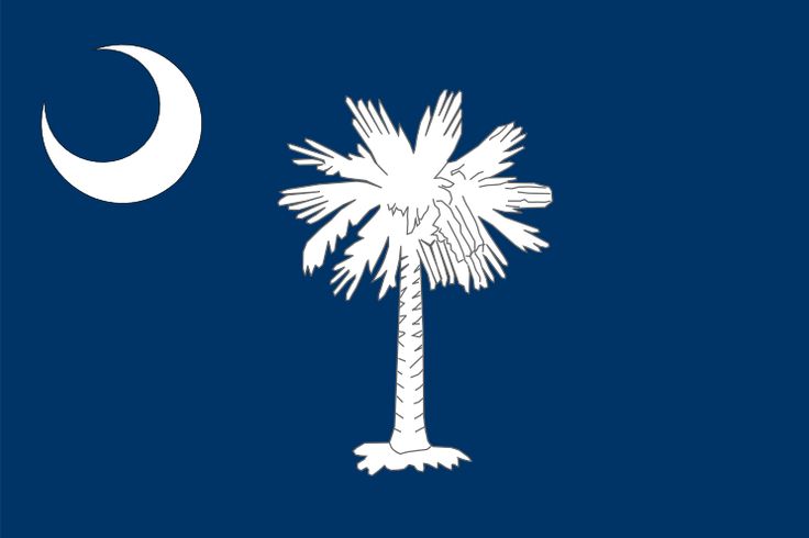 south carolina state flag