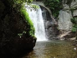 Looking Glass Falls in the Pisgah Forest